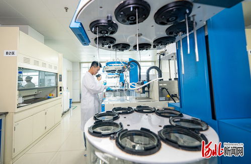 奮力譜寫中國式現(xiàn)代化建設(shè)河北篇章 | 解碼石藥 創(chuàng)新引領(lǐng)的“藥”素密碼